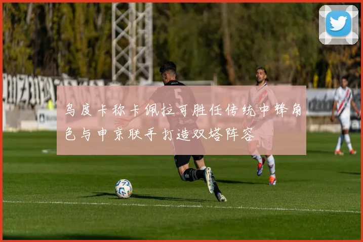 乌度卡称卡佩拉可胜任传统中锋角色与申京联手打造双塔阵容