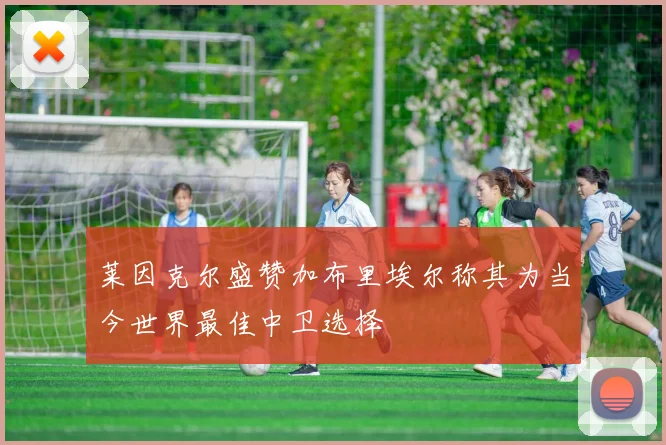 莱因克尔盛赞加布里埃尔称其为当今世界最佳中卫选择
