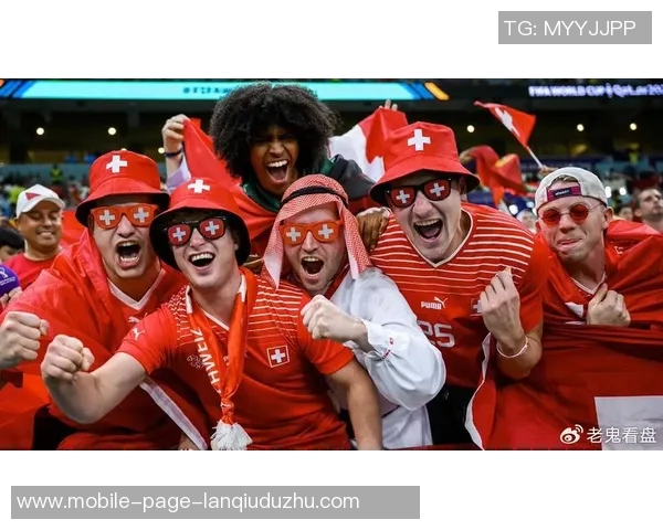 热刺大股东刘易斯家族信托注资1亿镑助力俱乐部发展